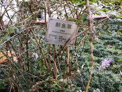 -广州神农草堂中医药博物馆