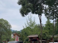 -青城甲(青城山店)