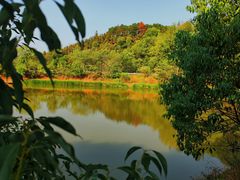-青龙山国家森林公园