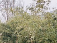 -中关村生命科学园