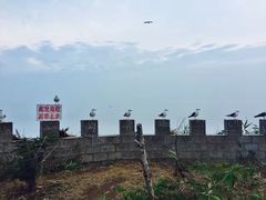 -海驴岛(荣成市)