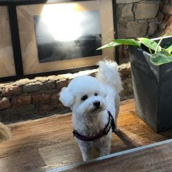 点击看大图 -帆拉斐婚纱摄影(春熙店)