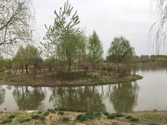 -东郊湿地公园