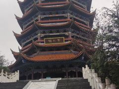 -铁山坪森林公园