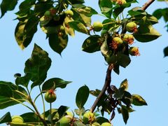 -元大都城垣遗址公园