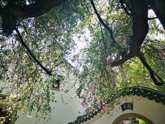 -深圳国际园林花卉博览园