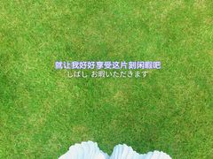 -小麦岛公园