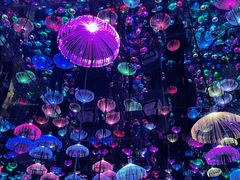 -梵高星空艺术馆(北京旗舰店)