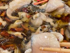 沸腾虹鳟鱼-向外鱼乐·土菜·虹鳟鱼