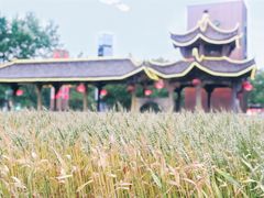 -证大喜玛拉雅中心