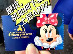 -上海迪士尼度假区