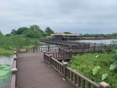 -梁鸿国家湿地公园