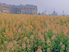 -中国天府农业博览园