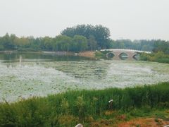 -大兴滨河森林公园