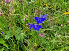 -白草畔自然风景区