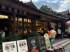 -菌自由丨野生菌火锅特色庭院餐厅(丽江古城店)