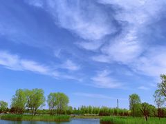 -大兴滨河森林公园