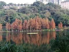 -重庆彩云湖湿地公园