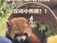 -北京野生动物园