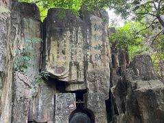 -铁山坪森林公园