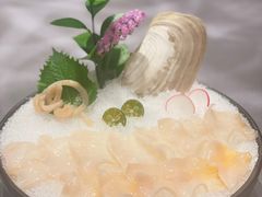 象拔蚌刺身-协成海鲜火锅(海洋花园店)