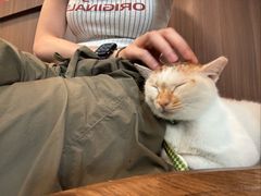 -Again Coffee Roaster(香蜜湖店)