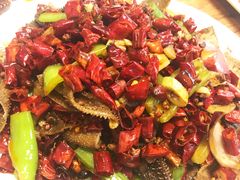 -福苗小骆驼烧烤(大唐不夜城店)