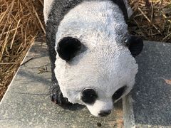 -仙海旅游度假区