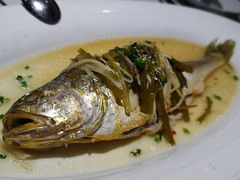 -老洋房花园饭店(绍兴路店)