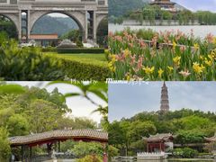 -顺峰山公园