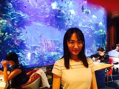 -迪拜帆船酒店海底餐厅