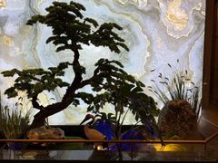 -海月轩海鲜豆捞(紫金塔店)