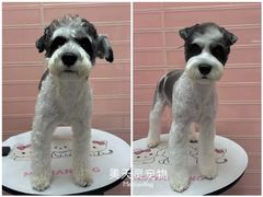 -FAELING PETS美天灵宠物(合生汇店)