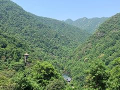 -午潮山国家森林公园