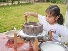 -金豆子幼稚园