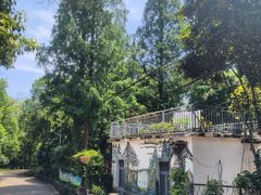 -青龙山国家森林公园