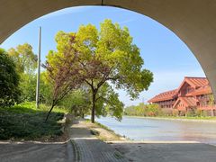 -广富林郊野公园