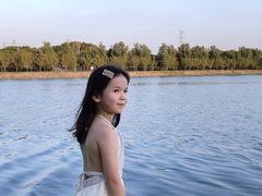 -羊山湖公园
