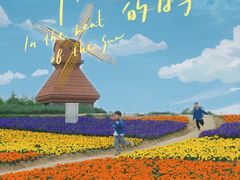 -杭州湾海上花田景区