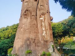 -青青世界