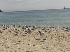 -海云台海滩