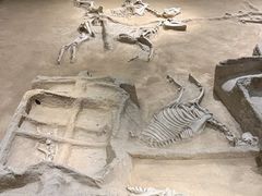 -洛阳周王城天子驾六博物馆