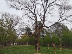 -东华门大街小区