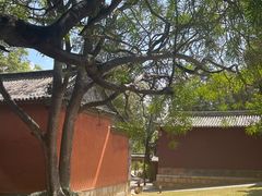 -建水文庙