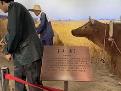 -河北村民俗体验园