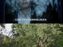 -CGV影城(东港IMAX店)