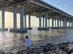 -宝安西湾红树林湿地公园