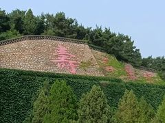 -龙口南山旅游景区