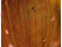 -蓝湾咖啡(长江北路店)