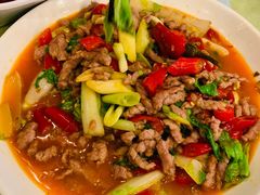 -曾牛肉